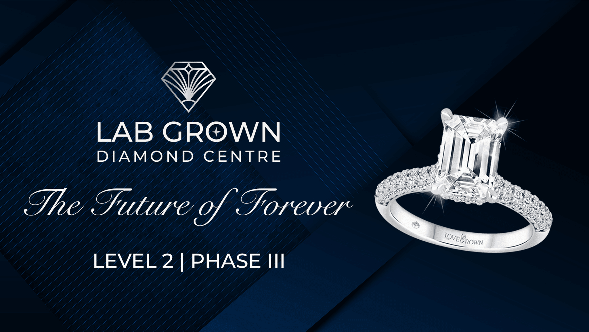 Lab Grown Diamonds — image 6